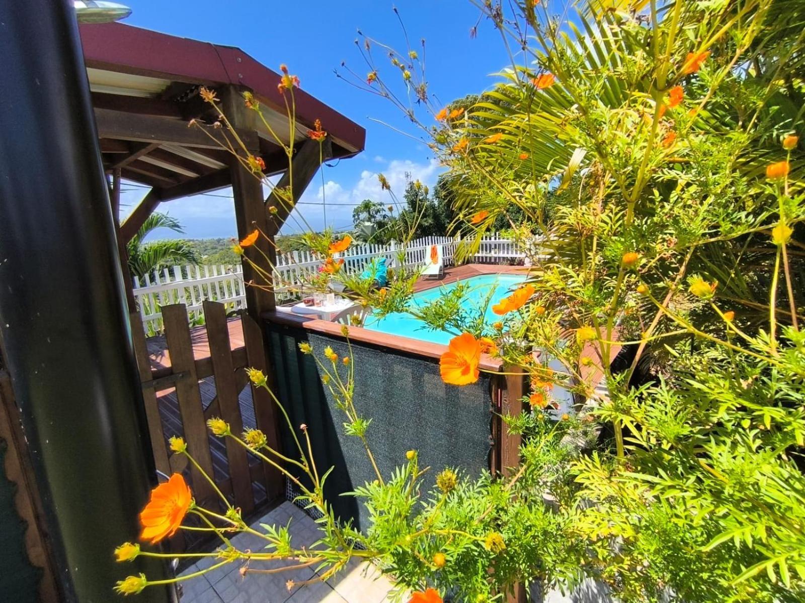 Appartement Turnera Le Gosier (Grande-Terre)
